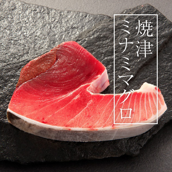 焼津のマグロ