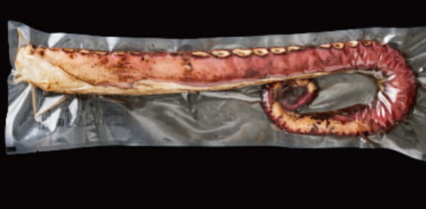 活タコの炙り焼き