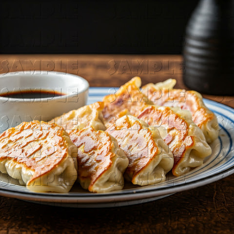 宇都宮餃子